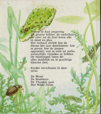 De groene kikker  -  Martin Hogeweg - Afbeelding 7
