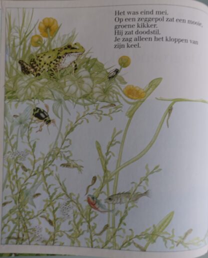 De groene kikker  -  Martin Hogeweg - Afbeelding 3