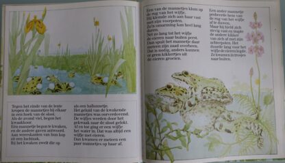 De groene kikker  -  Martin Hogeweg - Afbeelding 4