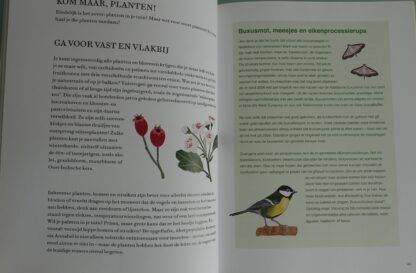 Duurzaam handboek voor de luie tuinier  -  Loethe Olthuis - Afbeelding 4