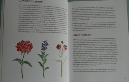 Duurzaam handboek voor de luie tuinier  -  Loethe Olthuis - Afbeelding 5