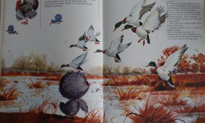 Het lelijke eendje  -   Gerda van Cleemput - Afbeelding 6
