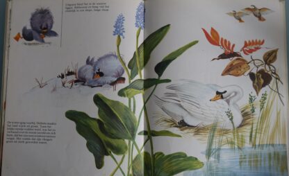 Het lelijke eendje  -   Gerda van Cleemput - Afbeelding 7