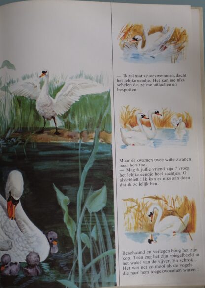 Het lelijke eendje  -   Gerda van Cleemput - Afbeelding 5