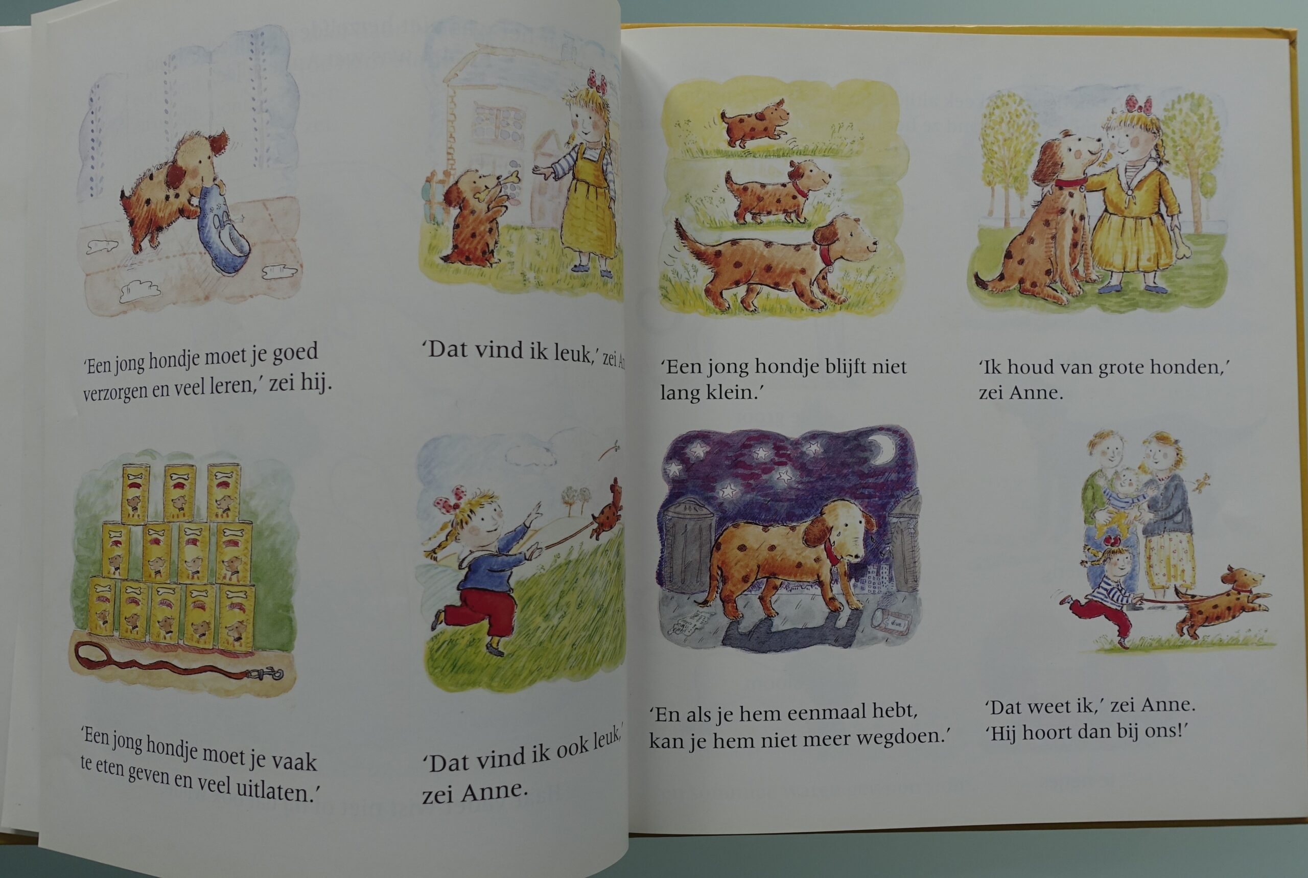 Het nieuwe hondje  -  Catherine Anholt - Afbeelding 4