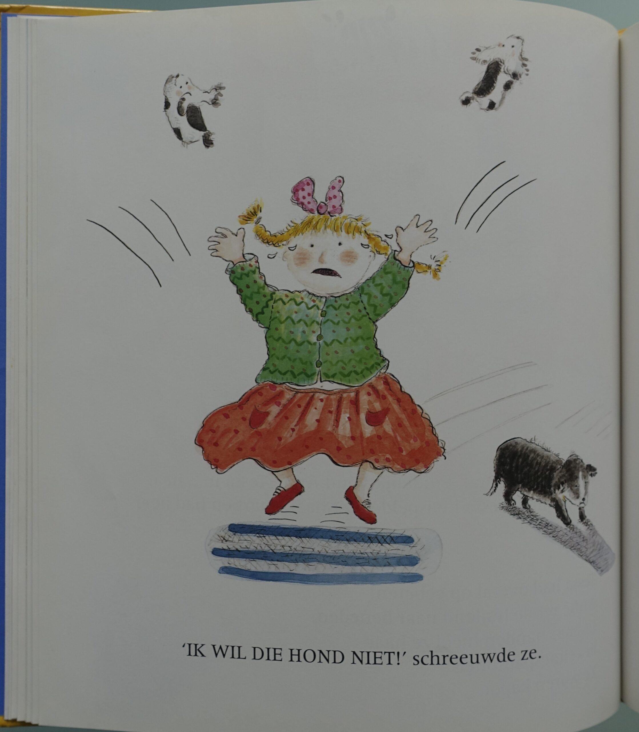 Het nieuwe hondje  -  Catherine Anholt - Afbeelding 7
