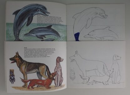 Huisdieren  -  Zeedieren  -  Erwin Eigner - Afbeelding 3