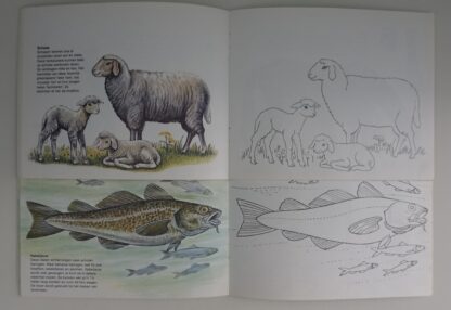 Huisdieren  -  Zeedieren  -  Erwin Eigner - Afbeelding 4