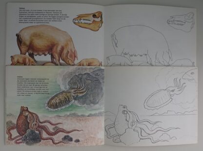 Huisdieren  -  Zeedieren  -  Erwin Eigner - Afbeelding 5
