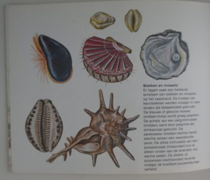 Huisdieren  -  Zeedieren  -  Erwin Eigner - Afbeelding 6