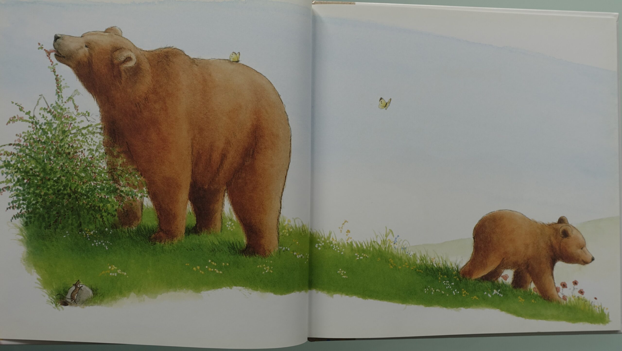 Ik ben mijn moeder kwijt  -  Charlotte Dematons - Afbeelding 2