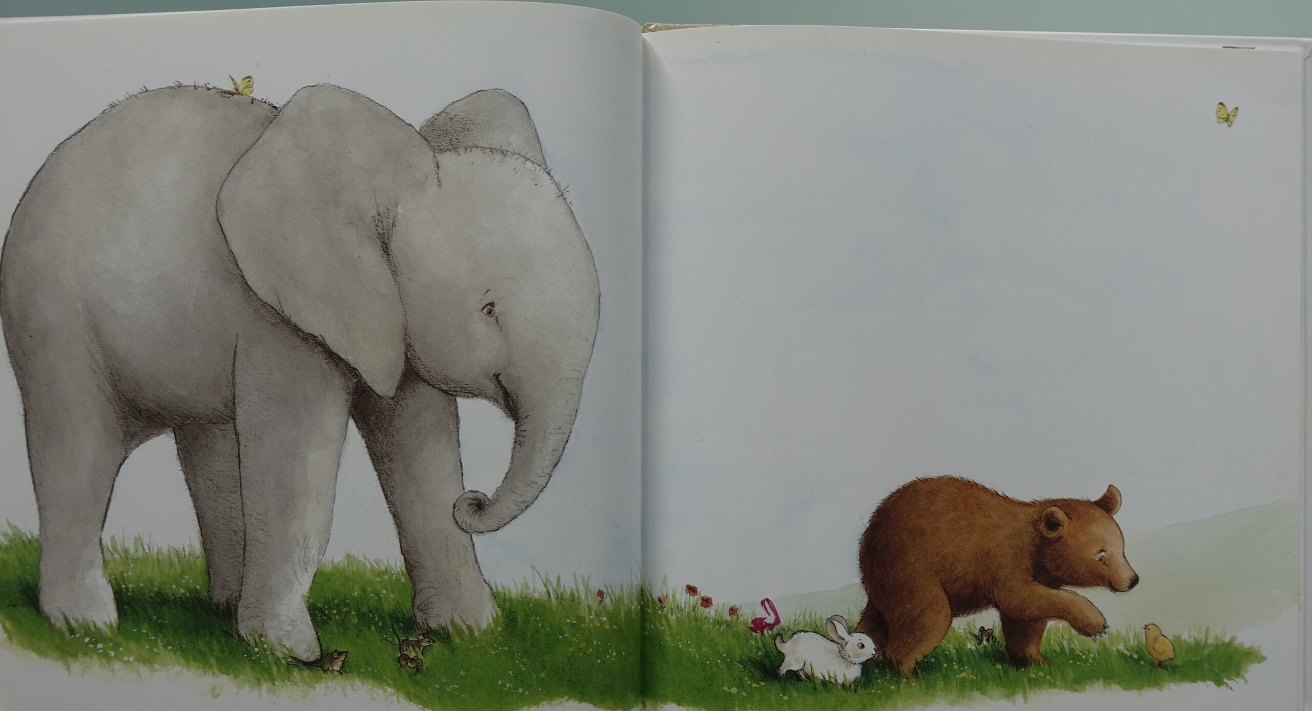 Ik ben mijn moeder kwijt  -  Charlotte Dematons - Afbeelding 3