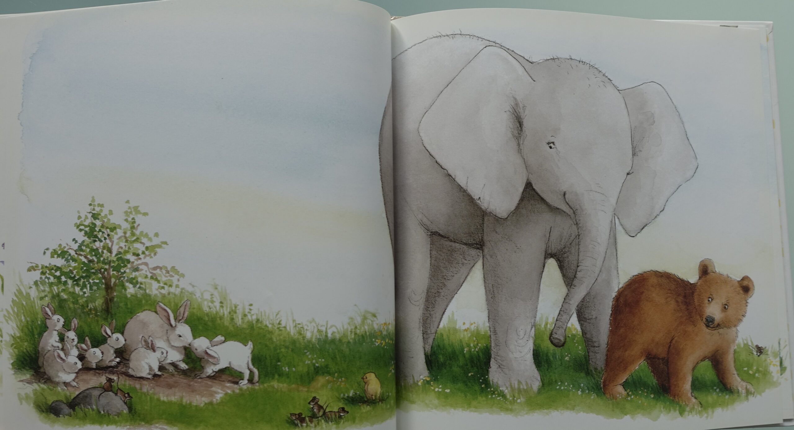 Ik ben mijn moeder kwijt  -  Charlotte Dematons - Afbeelding 4