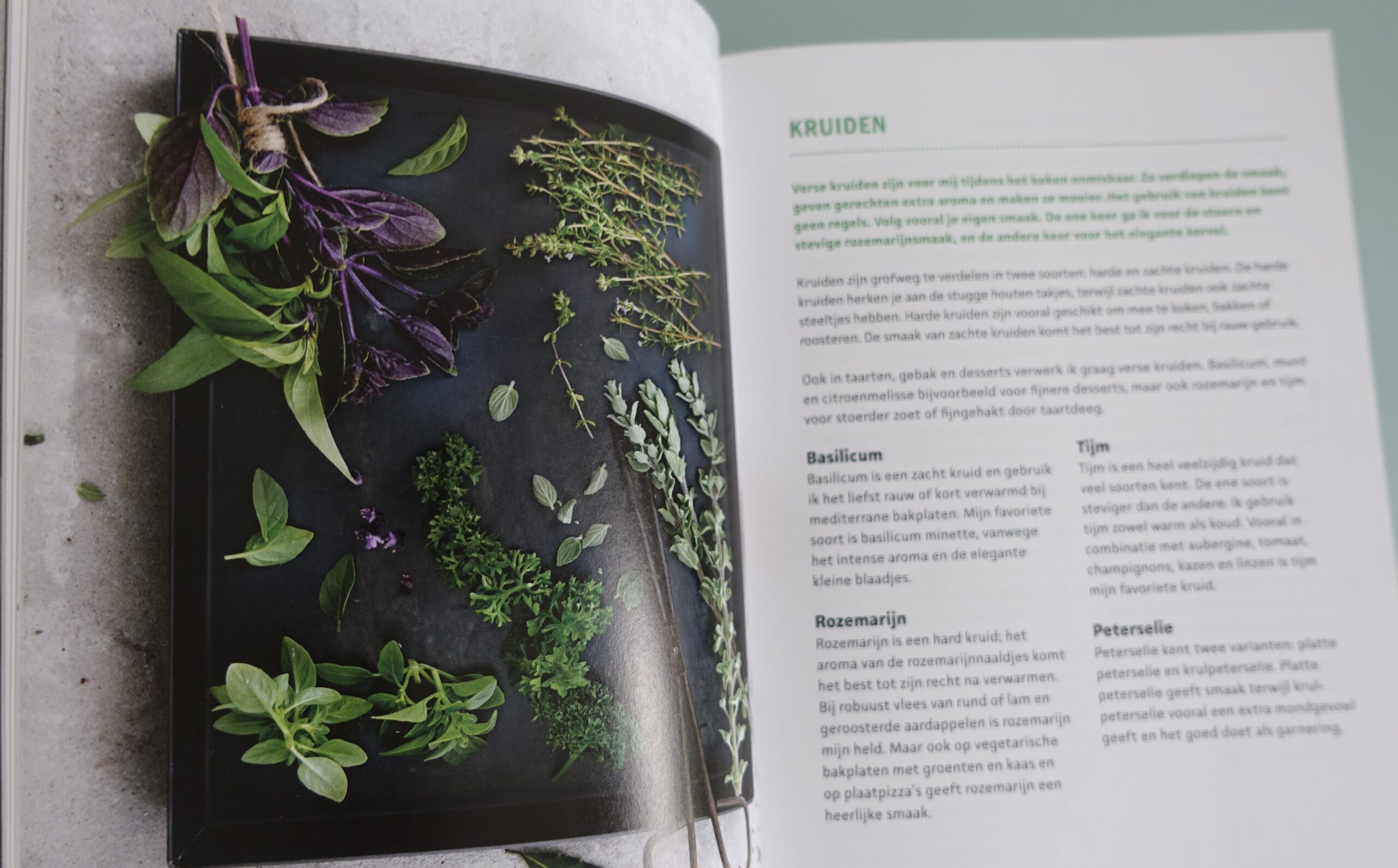 Bakplaatbijbel - Janneke Philippi - Afbeelding 3