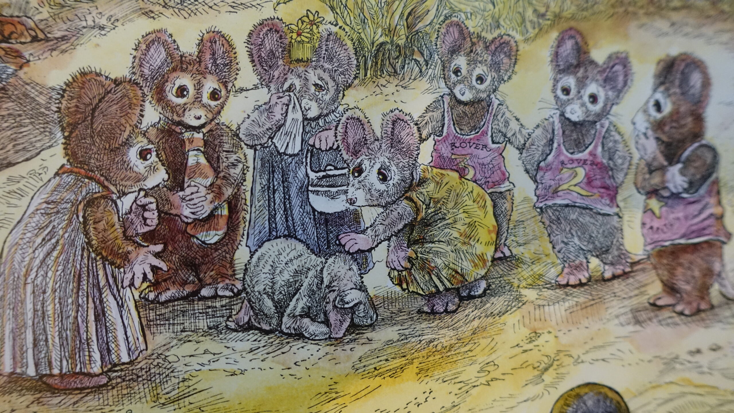 Het eiland van de Skog - Steven Kellog - Afbeelding 9