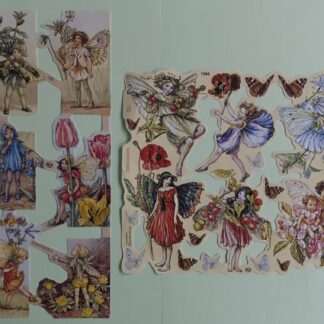 Poesieplaatjes  -  Flower Fairies