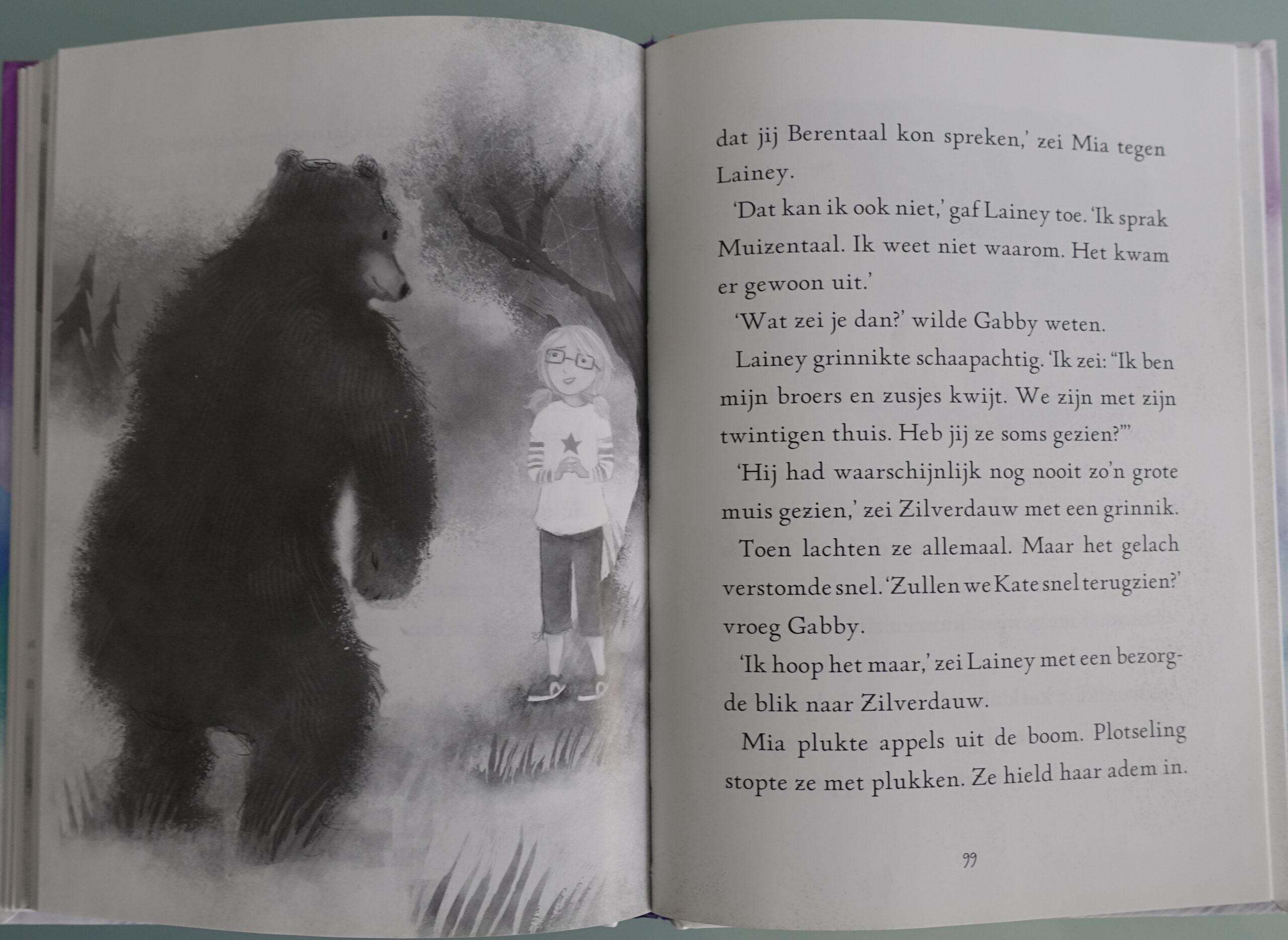 The Never Girls - De magische mist - Afbeelding 5