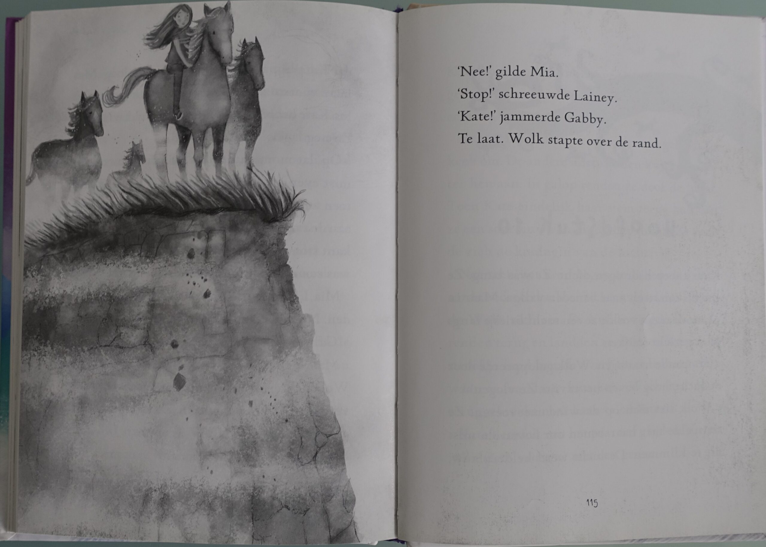 The Never Girls - De magische mist - Afbeelding 6