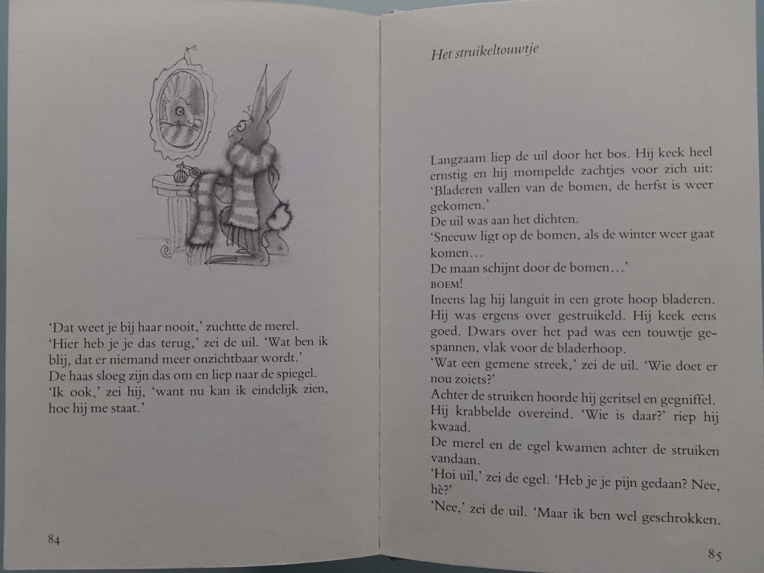 Verhalen van de boze heks - Hanna Kraan - Afbeelding 6