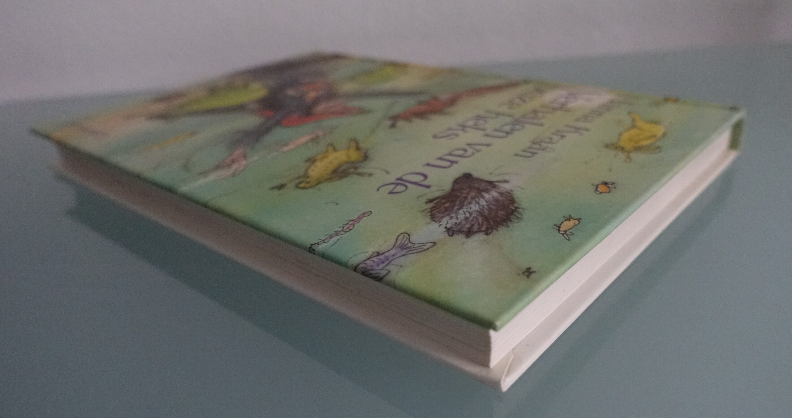 Verhalen van de boze heks - Hanna Kraan - Afbeelding 8