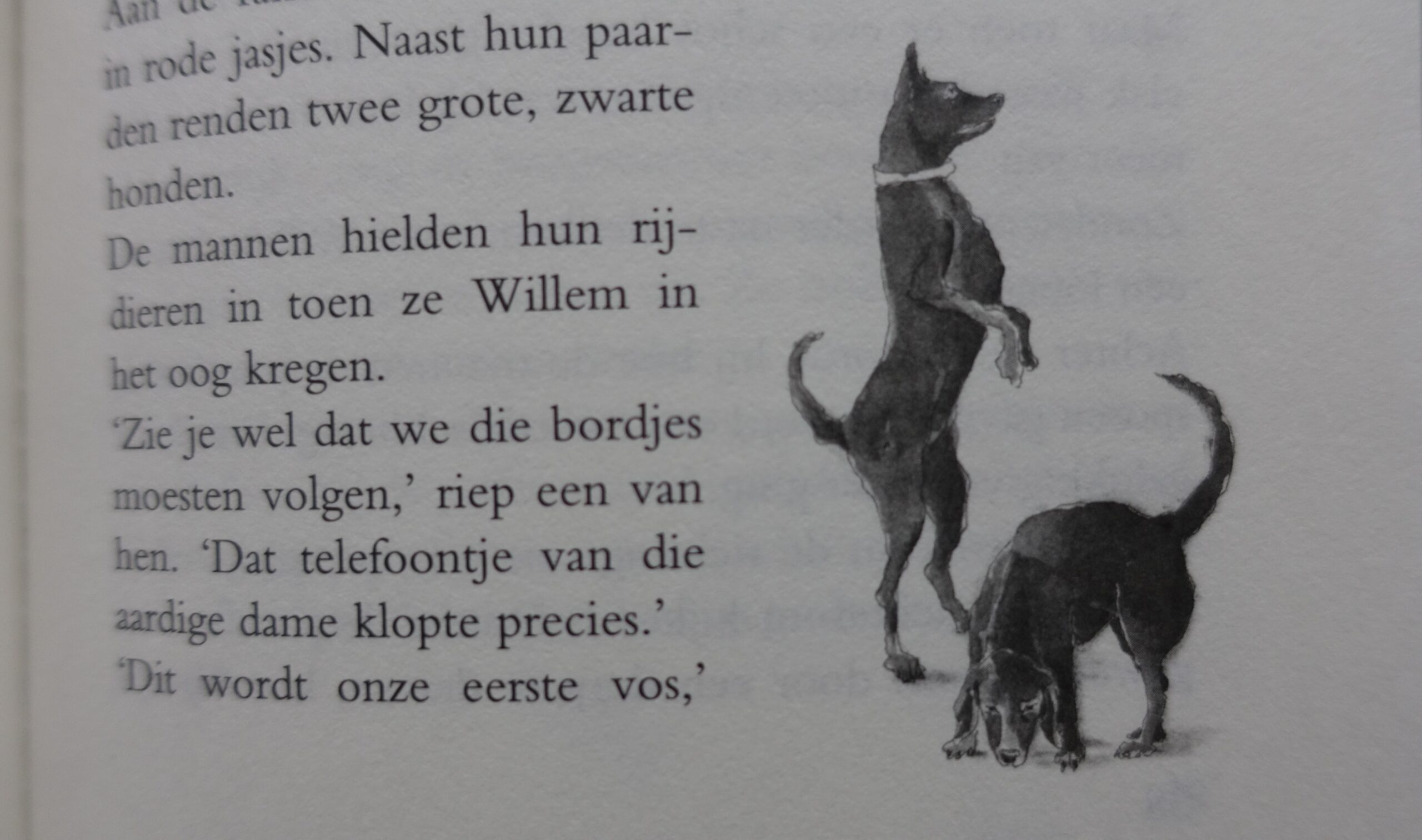 Willem Wolf en de Luchtridders - Gerard Delft - Afbeelding 3