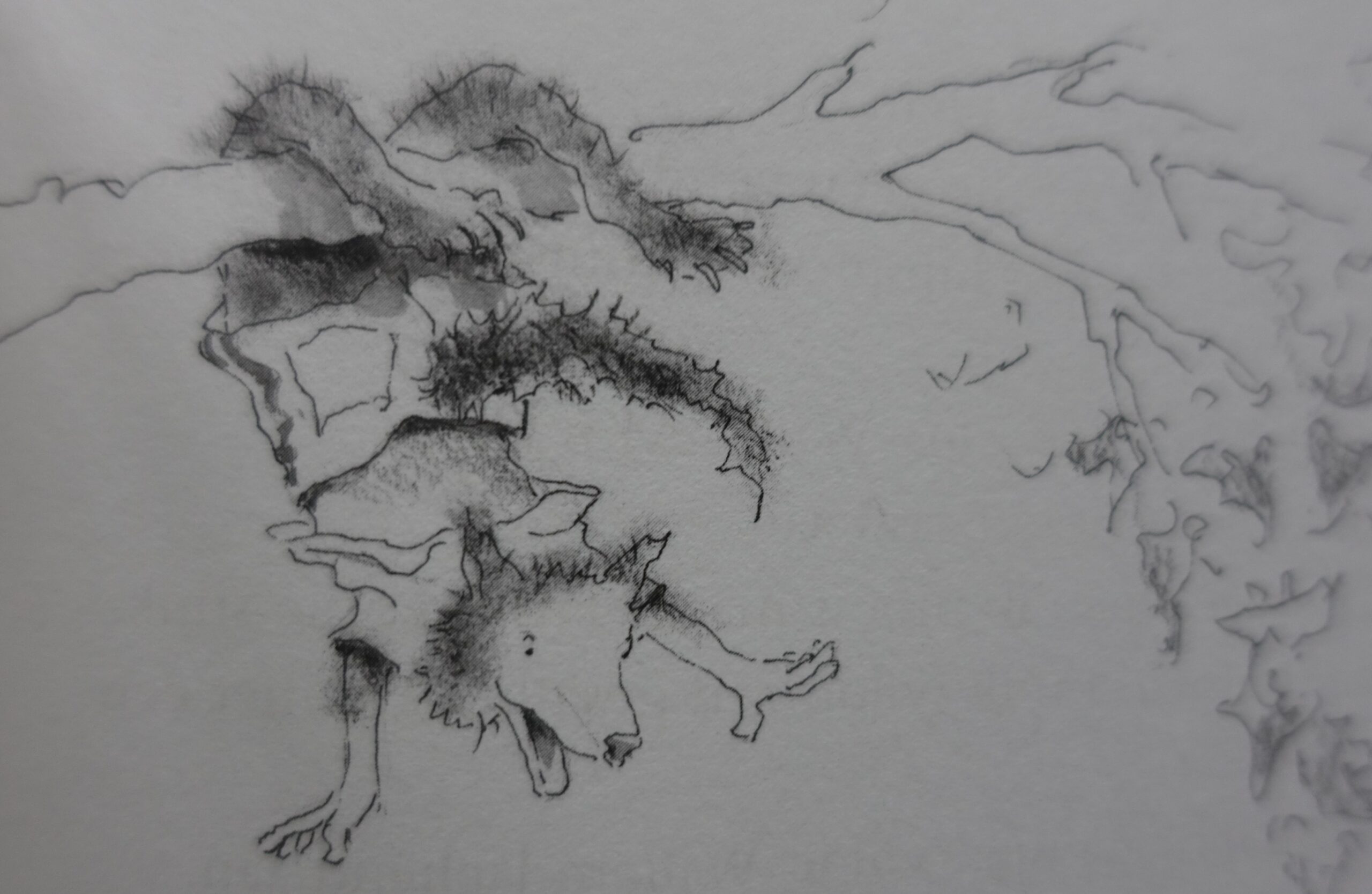 Willem Wolf en de Luchtridders - Gerard Delft - Afbeelding 7