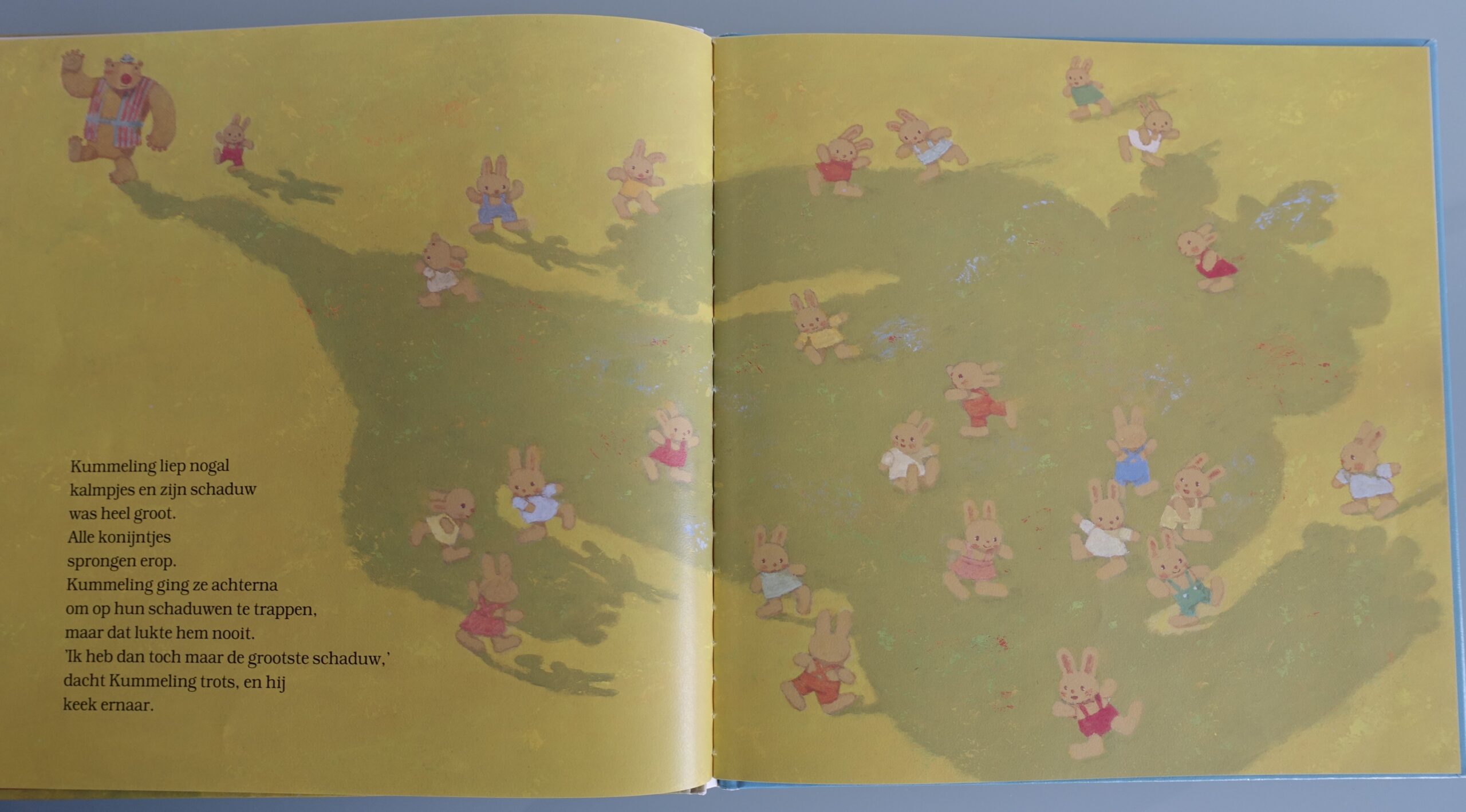 De schaduw van Kummeling - Chizuko Kuratomi - Afbeelding 3