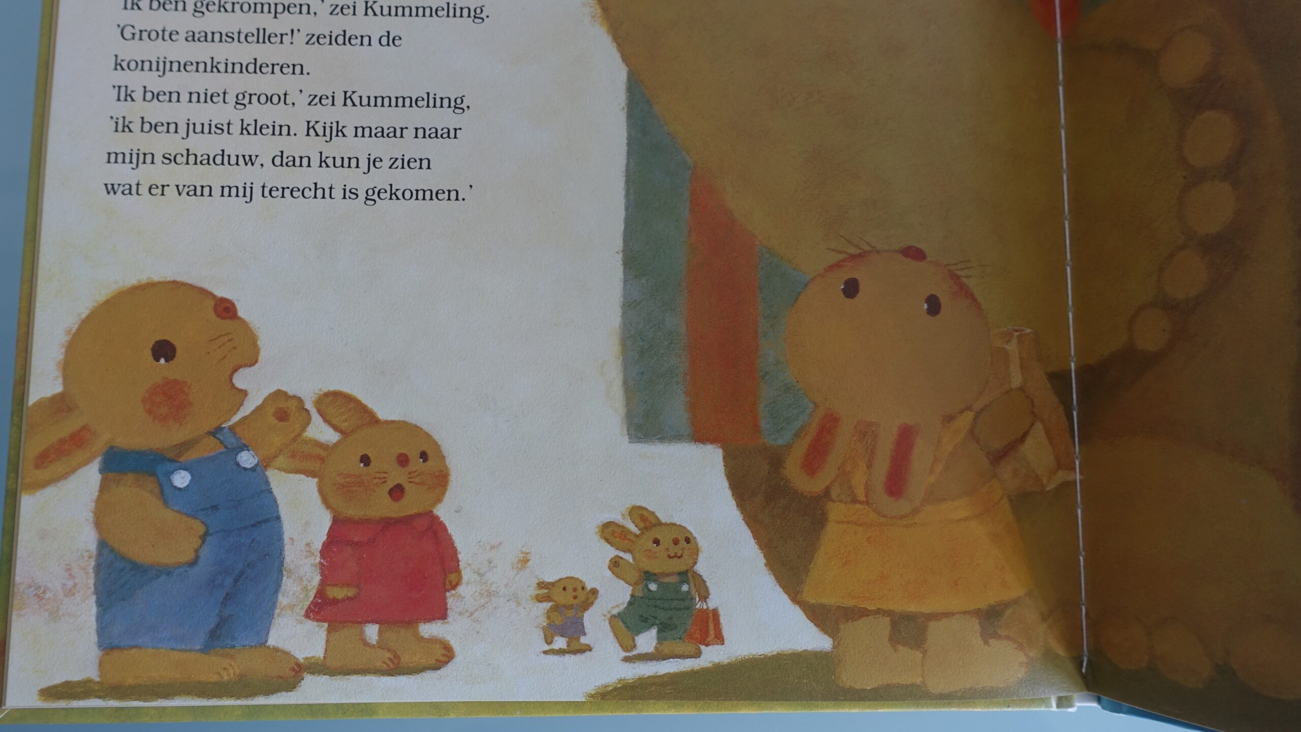 De schaduw van Kummeling - Chizuko Kuratomi - Afbeelding 5