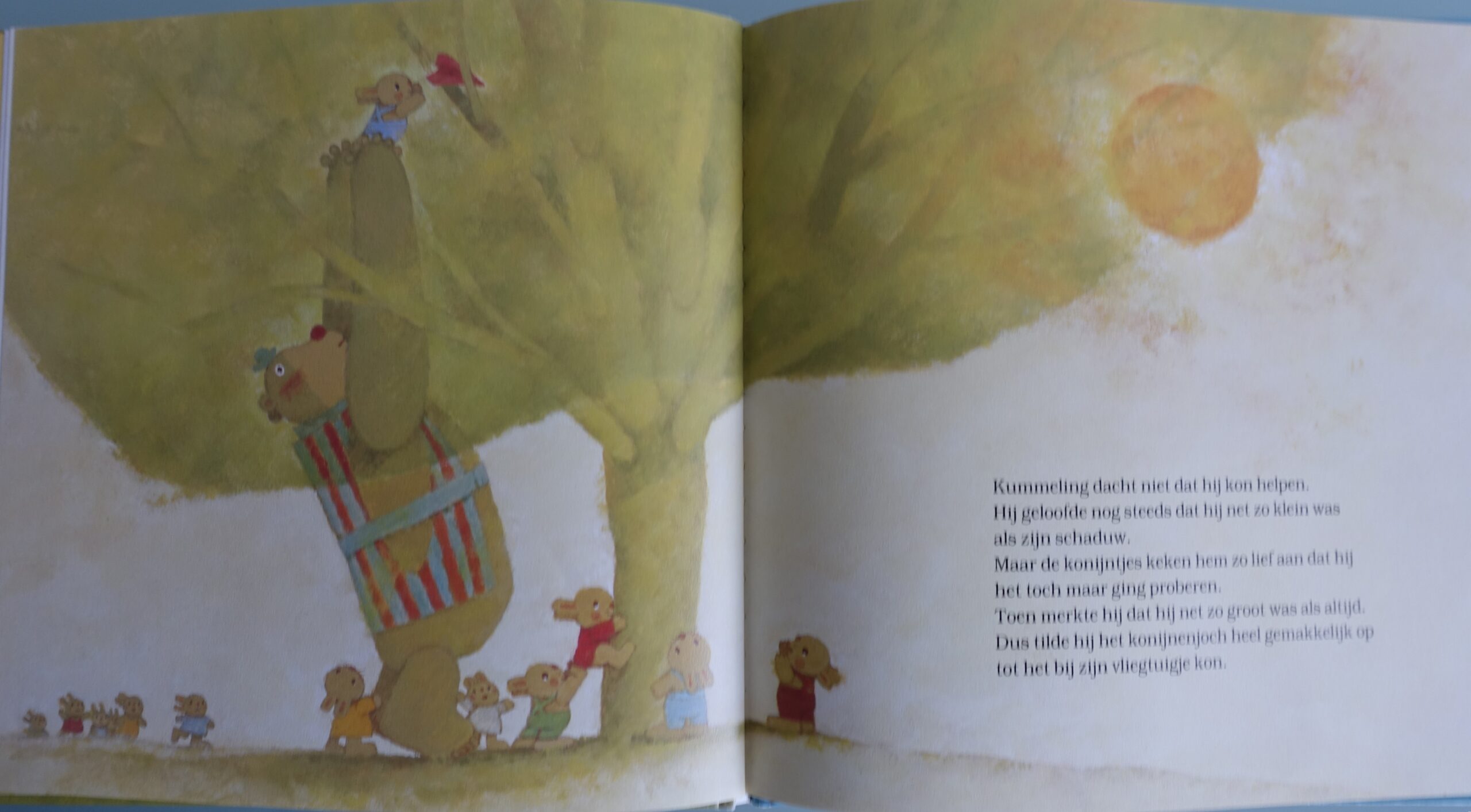 De schaduw van Kummeling - Chizuko Kuratomi - Afbeelding 6