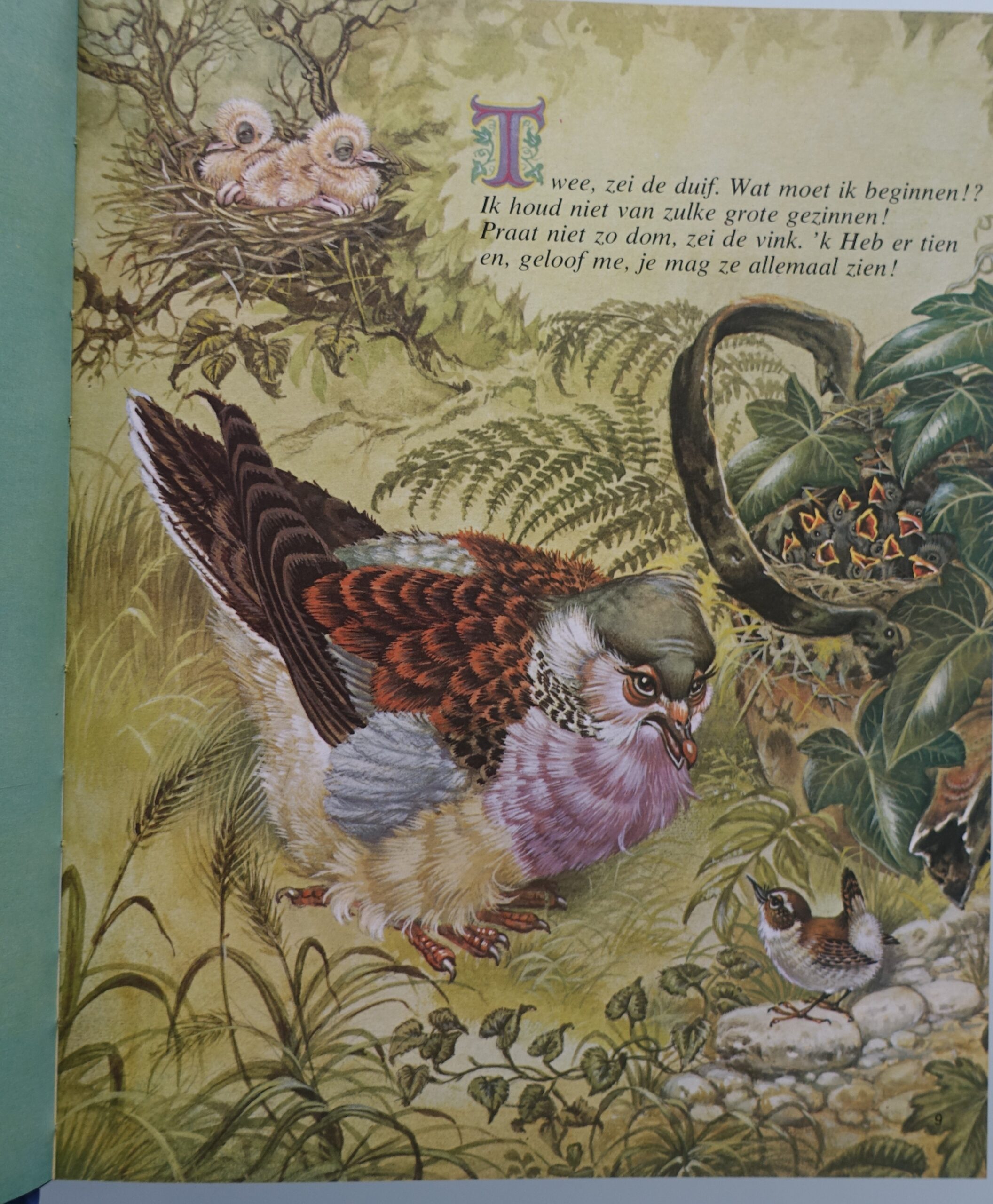 Omnibus van kinderrijmpjes - Afbeelding 3