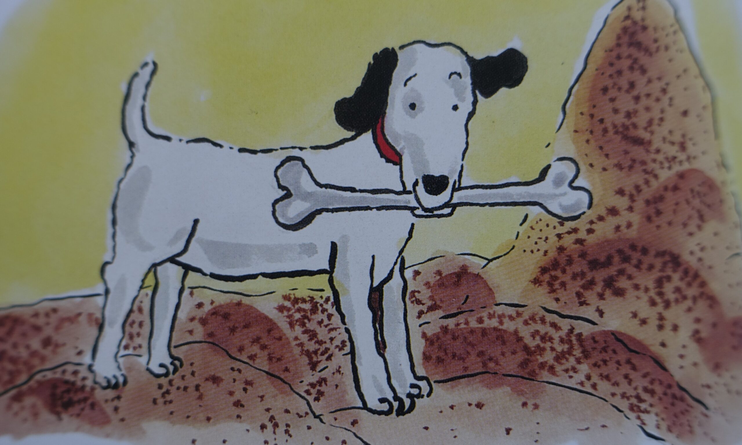 Rintje - Sieb Posthuma - Afbeelding 9