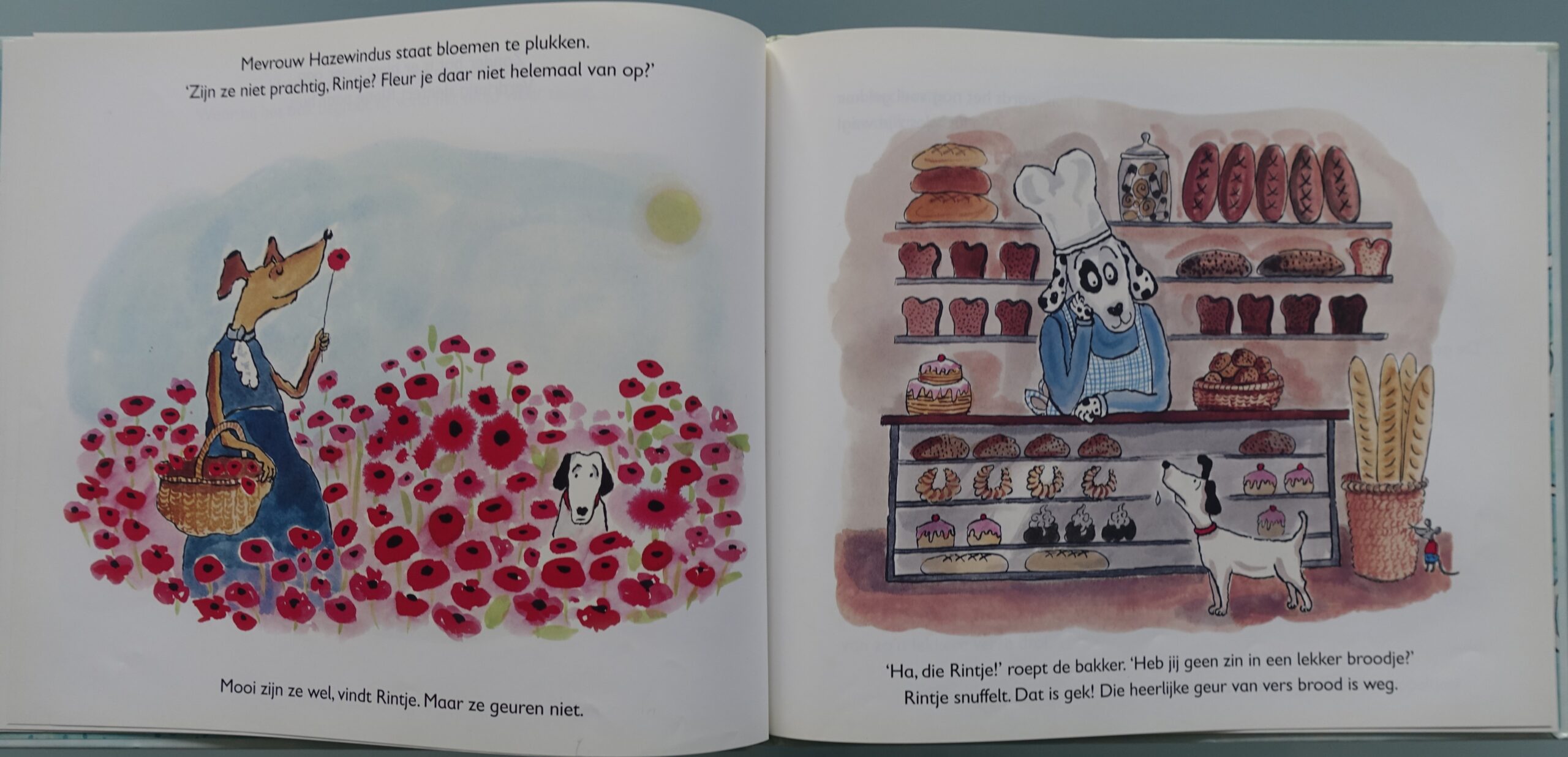 Rintje - Sieb Posthuma - Afbeelding 4