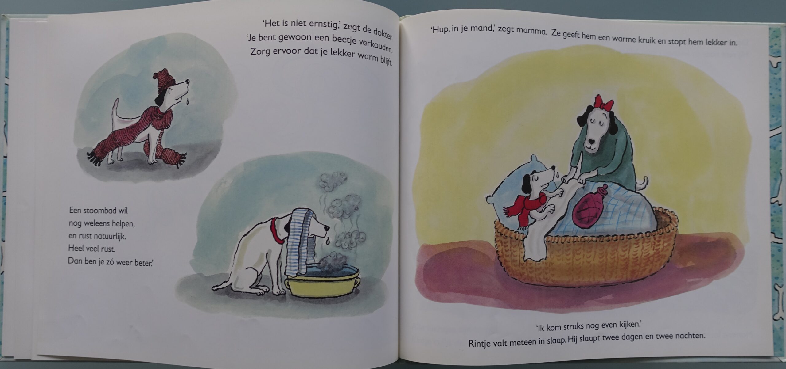 Rintje - Sieb Posthuma - Afbeelding 6