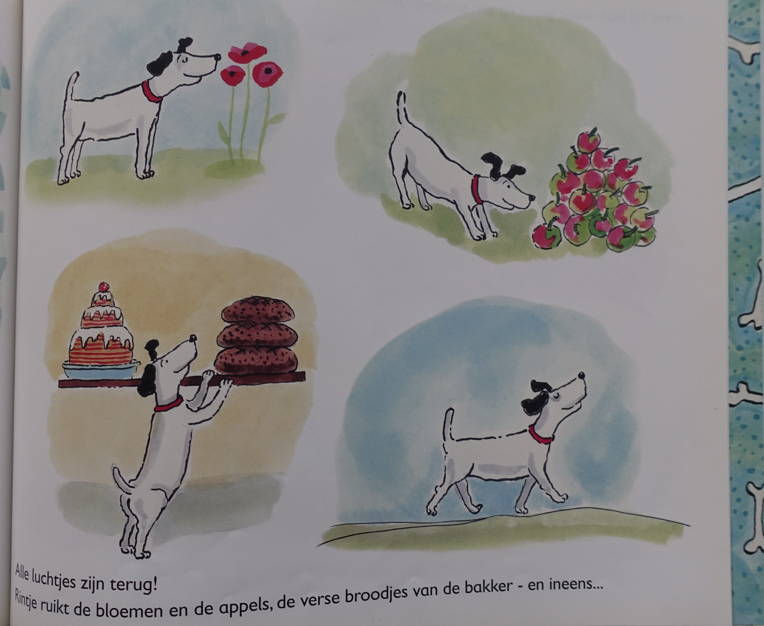 Rintje - Sieb Posthuma - Afbeelding 7