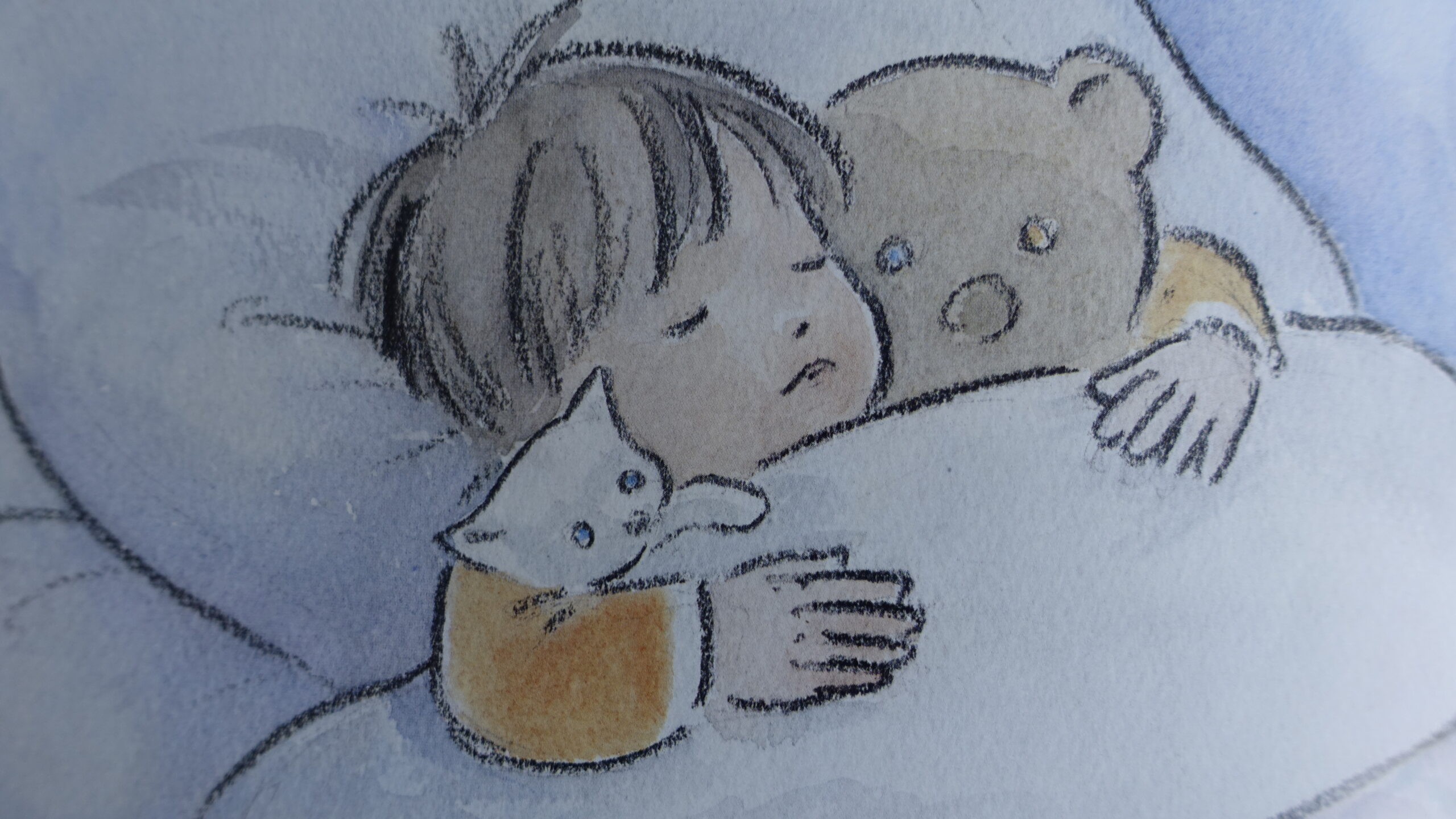 Helemaal alleen ! - Michel Gay - Afbeelding 9