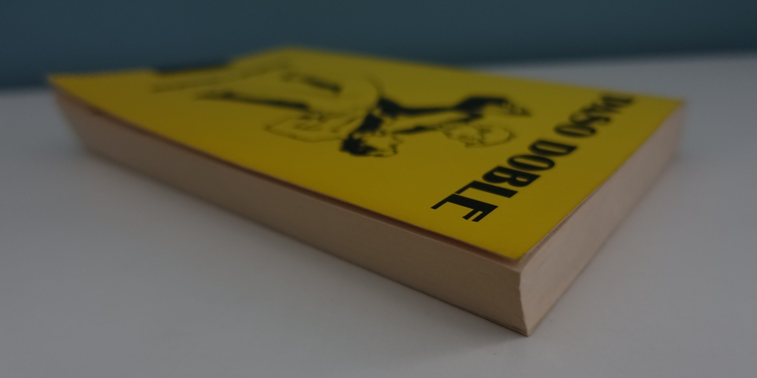 Paso Doble - Megchel J. Doewina - Afbeelding 4