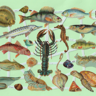 Poezieplaatjes  -  Zeedieren, met glitter