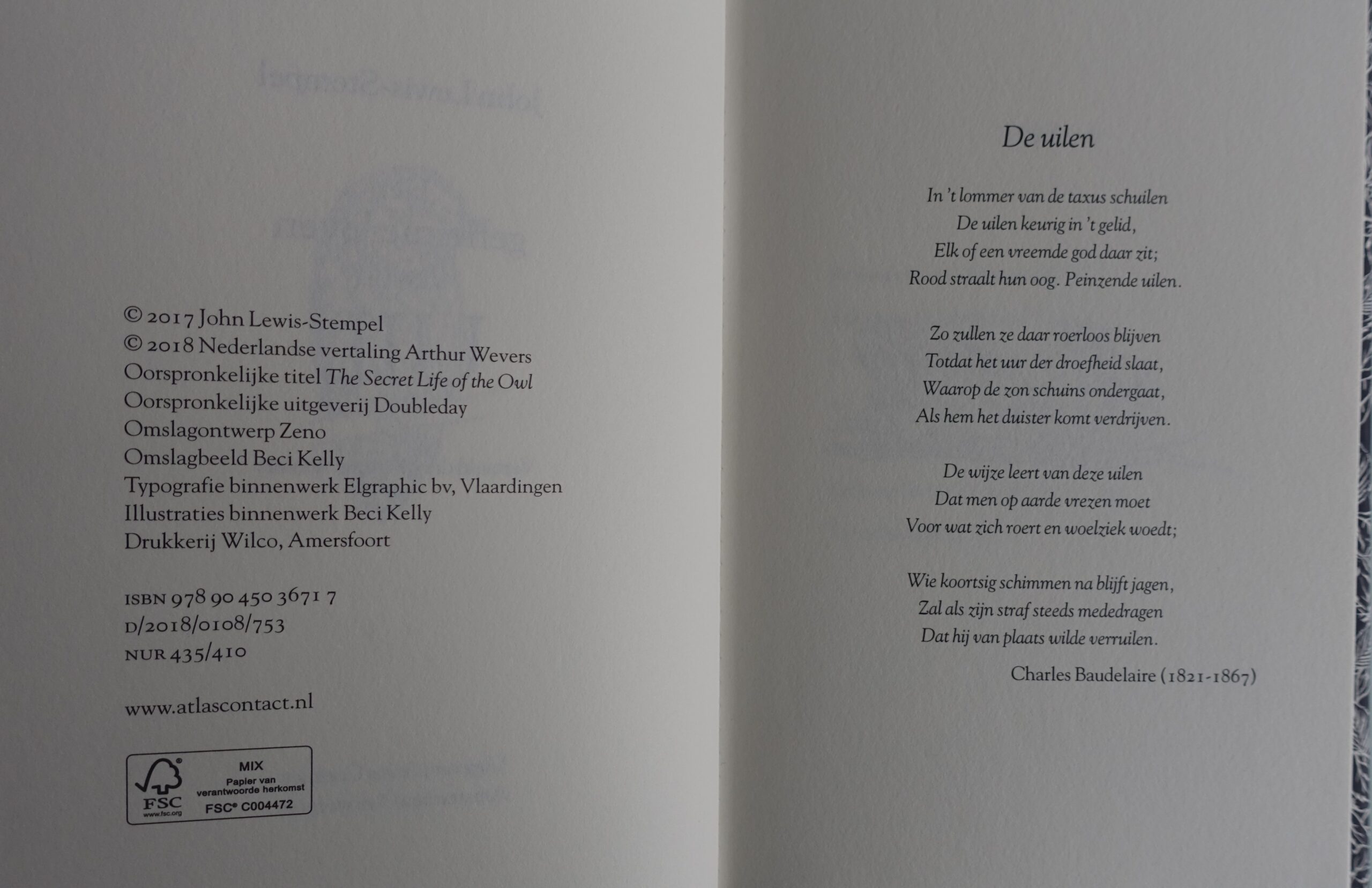 Het geheime leven van de uil - John Lewis-Stempel - Afbeelding 2