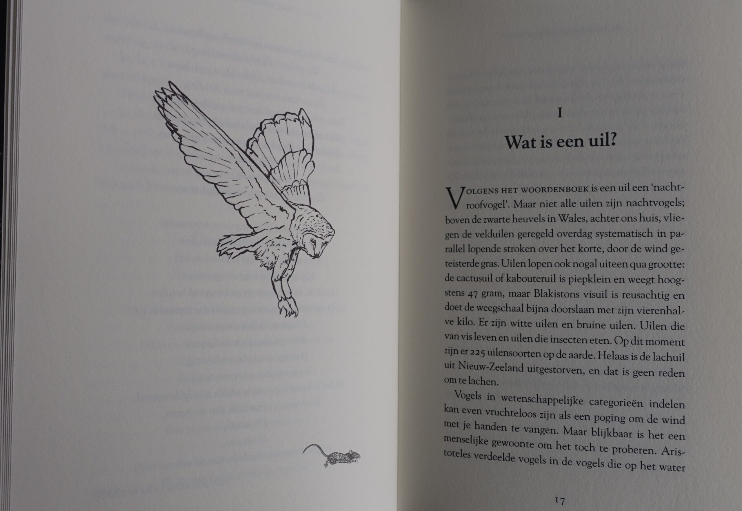 Het geheime leven van de uil - John Lewis-Stempel - Afbeelding 3