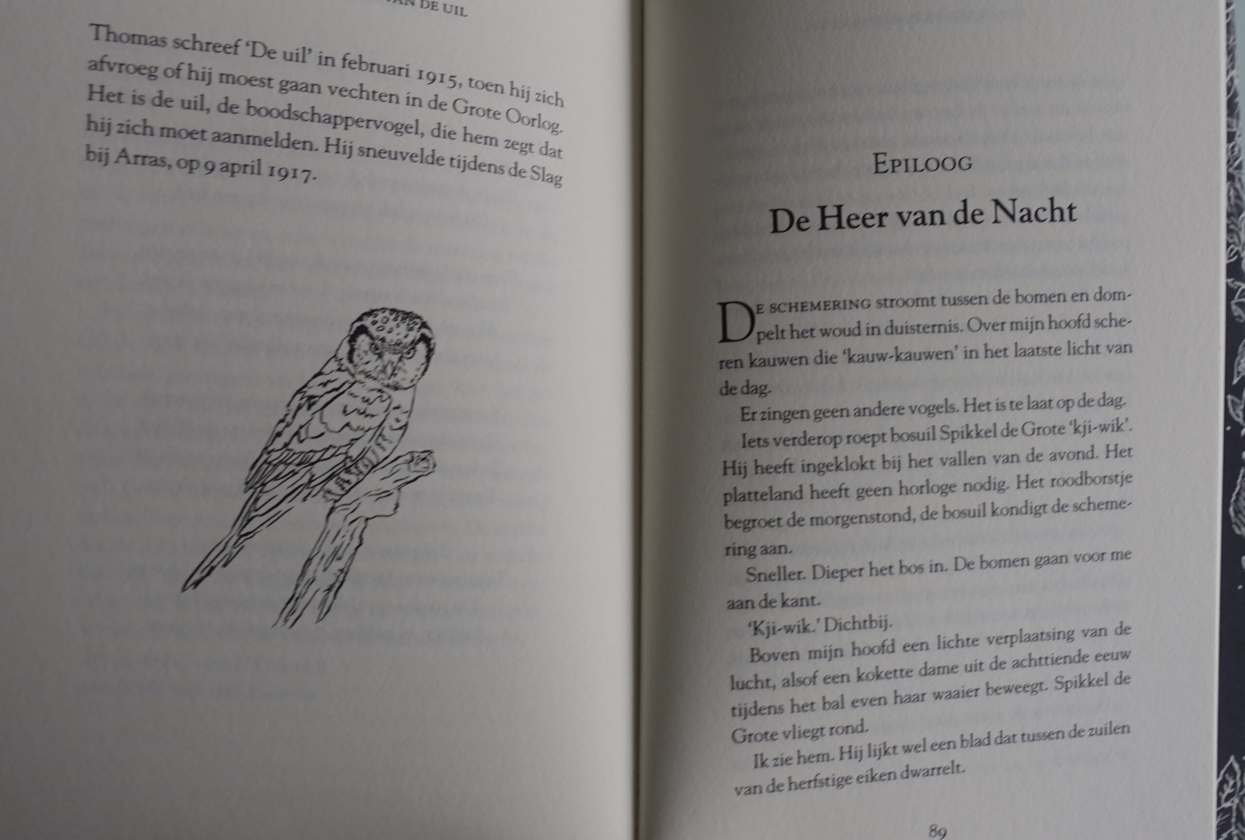 Het geheime leven van de uil - John Lewis-Stempel - Afbeelding 5