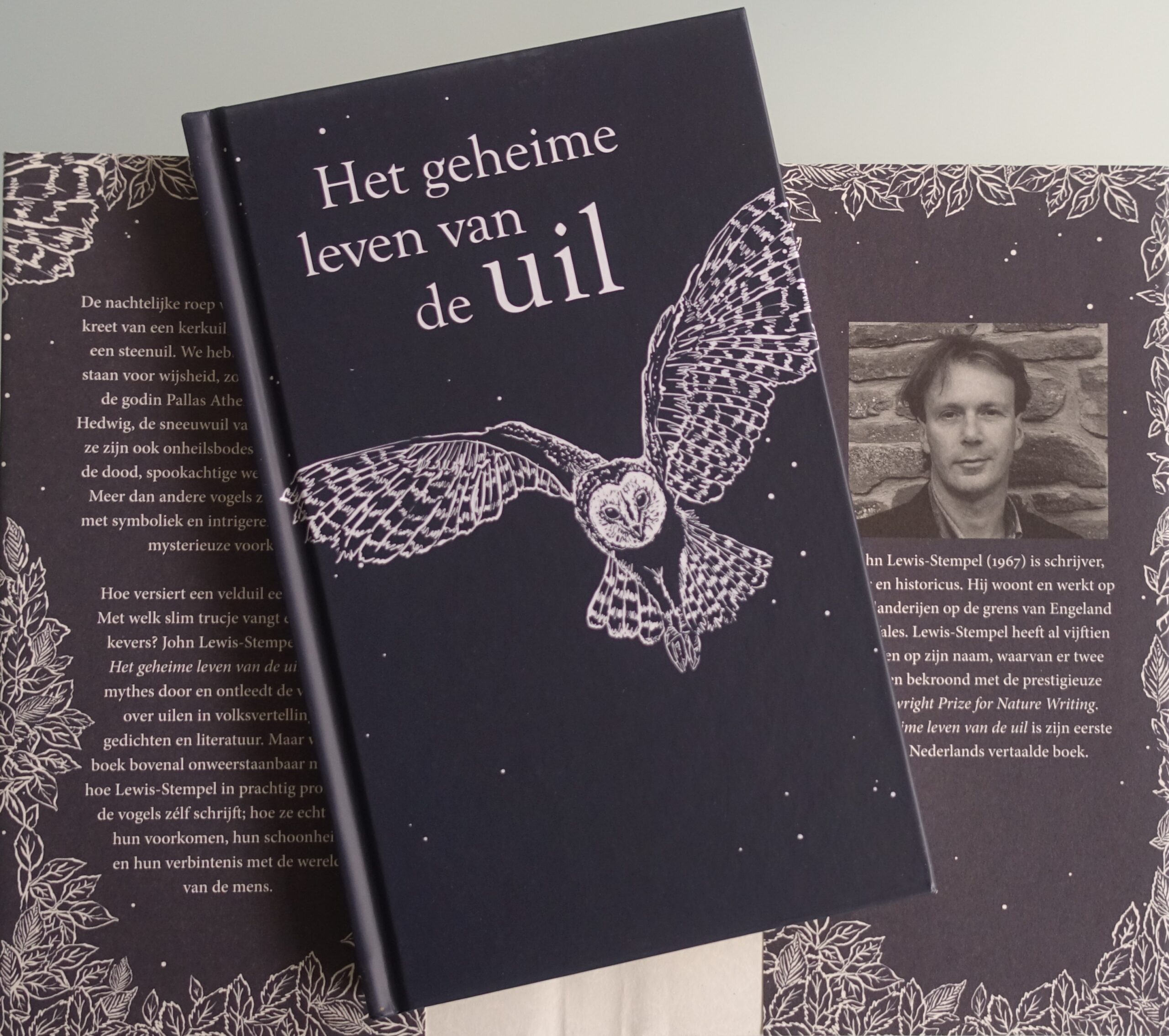 Het geheime leven van de uil - John Lewis-Stempel - Afbeelding 6