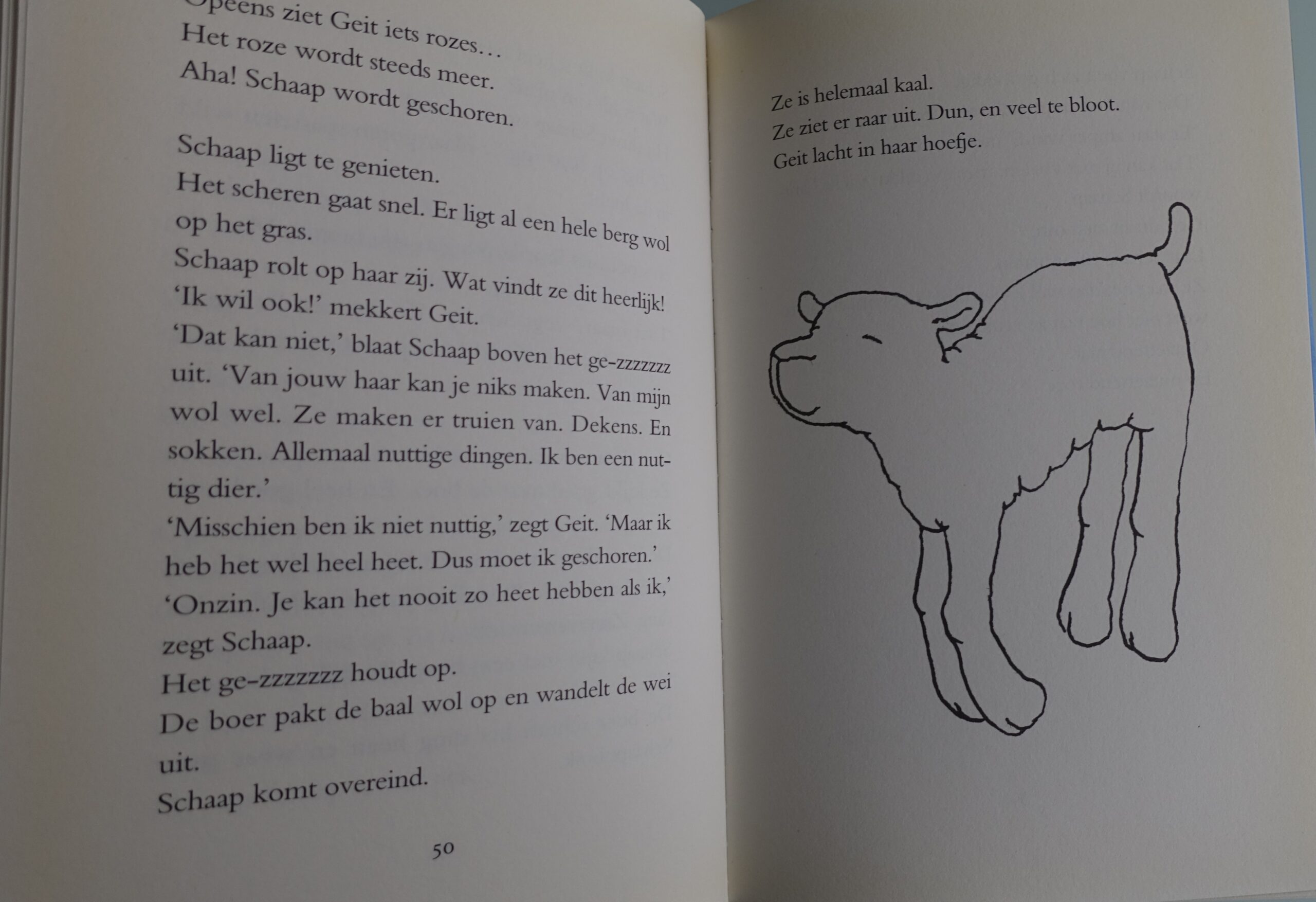 Schaap en Geit - Marleen Westera - Afbeelding 4