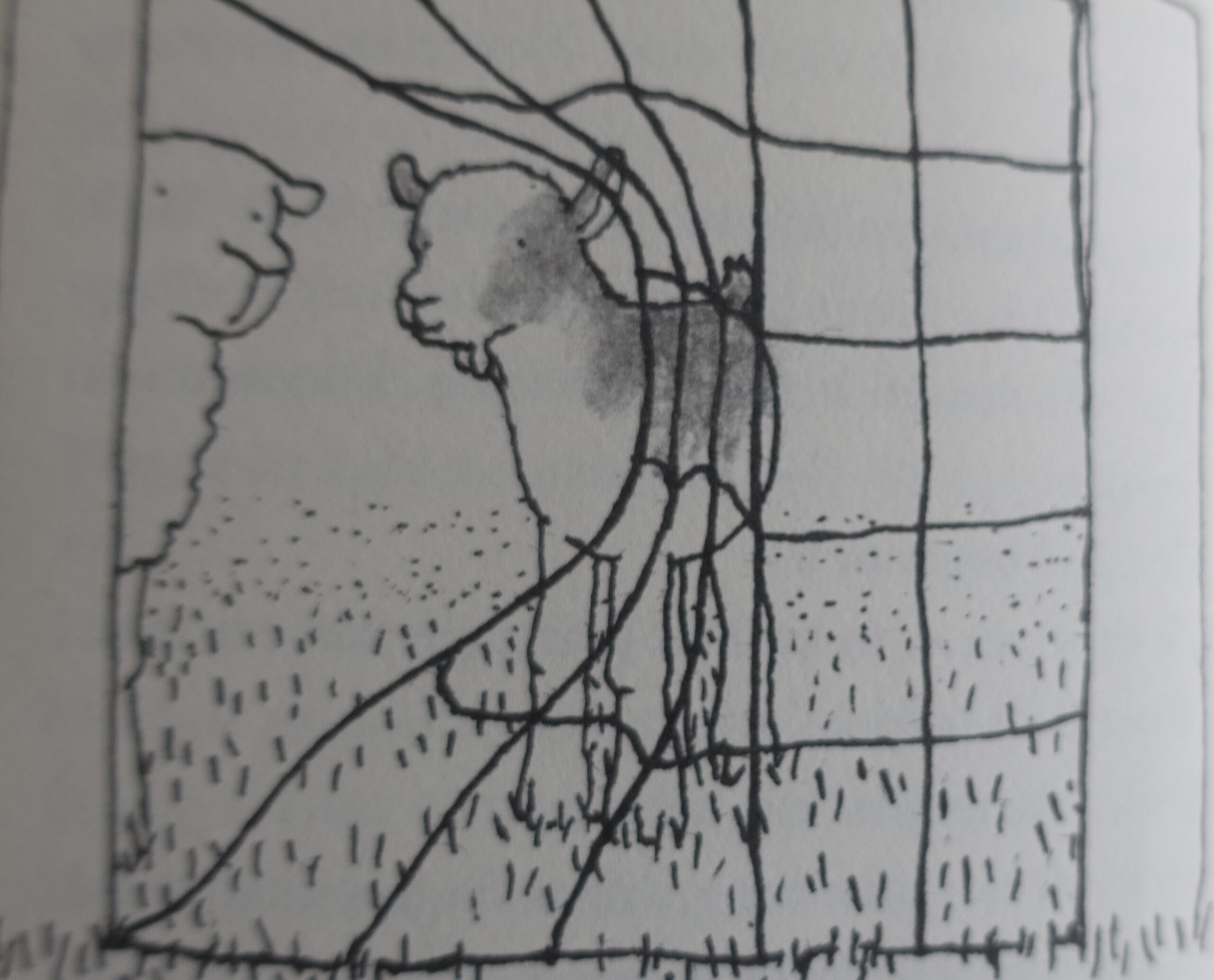 Schaap en Geit - Marleen Westera - Afbeelding 8