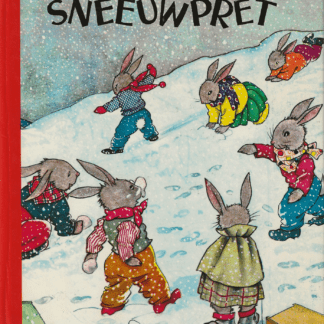 Sneeuwpret - Nans van Leeuwen