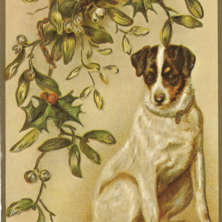 Hond onder de mistletoe - reliëfkaart