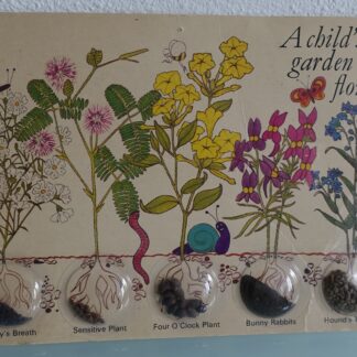 A child's garden of flowers