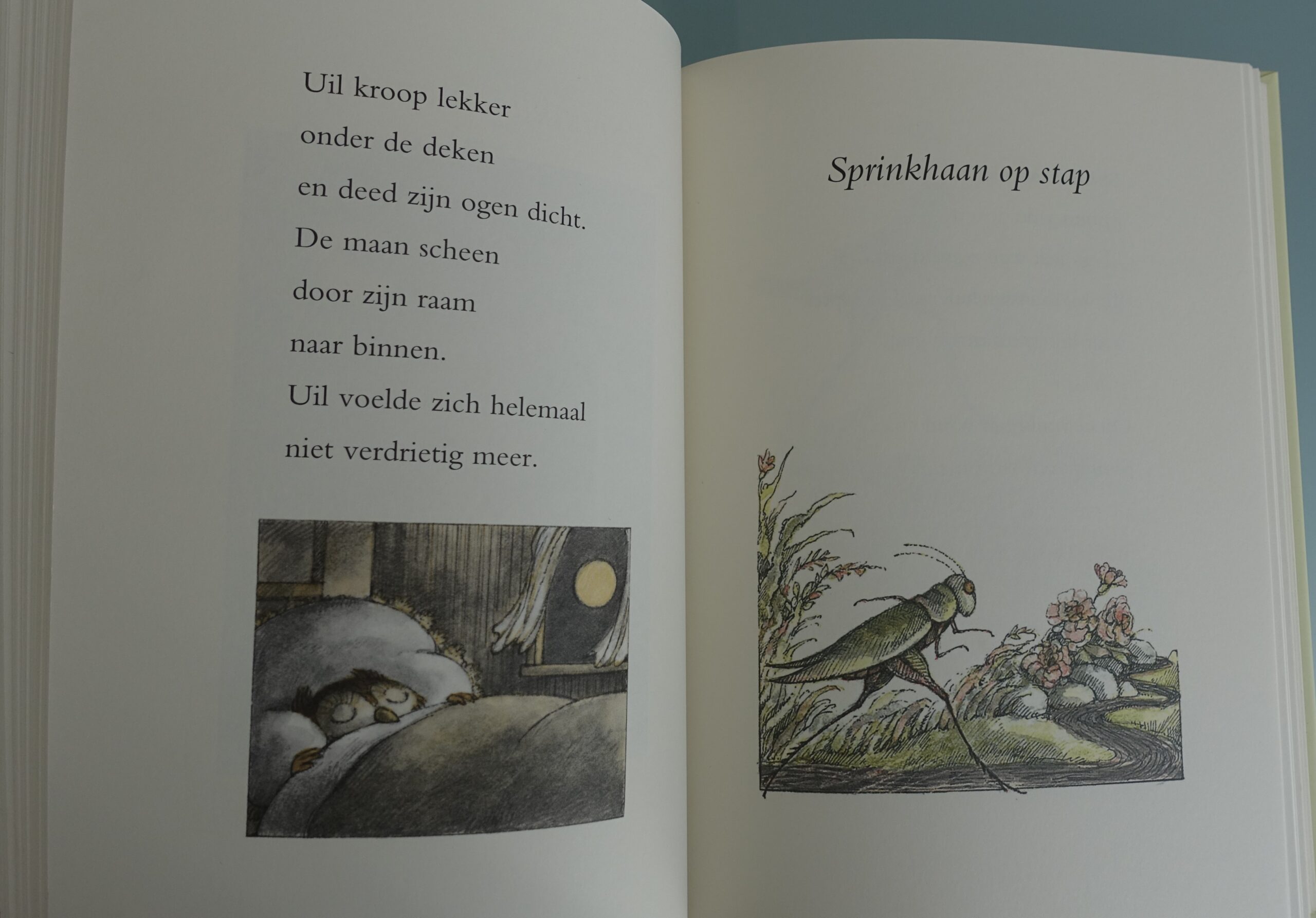 Bij uil thuis en andere verhalen - Arnold Lobel - Afbeelding 5