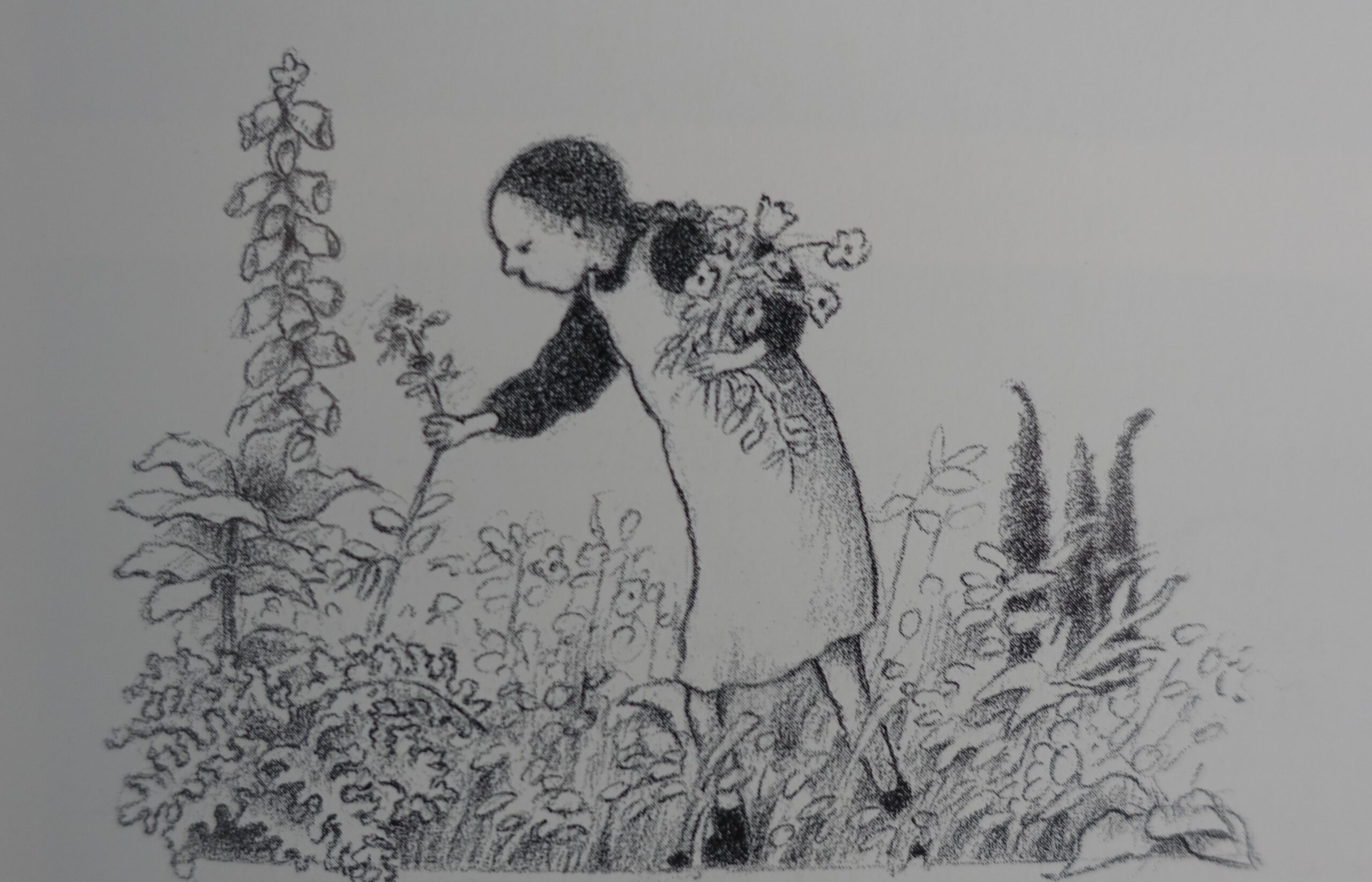 De prinses van de moestuin - Annemie & Margtiet Heymans - Afbeelding 13