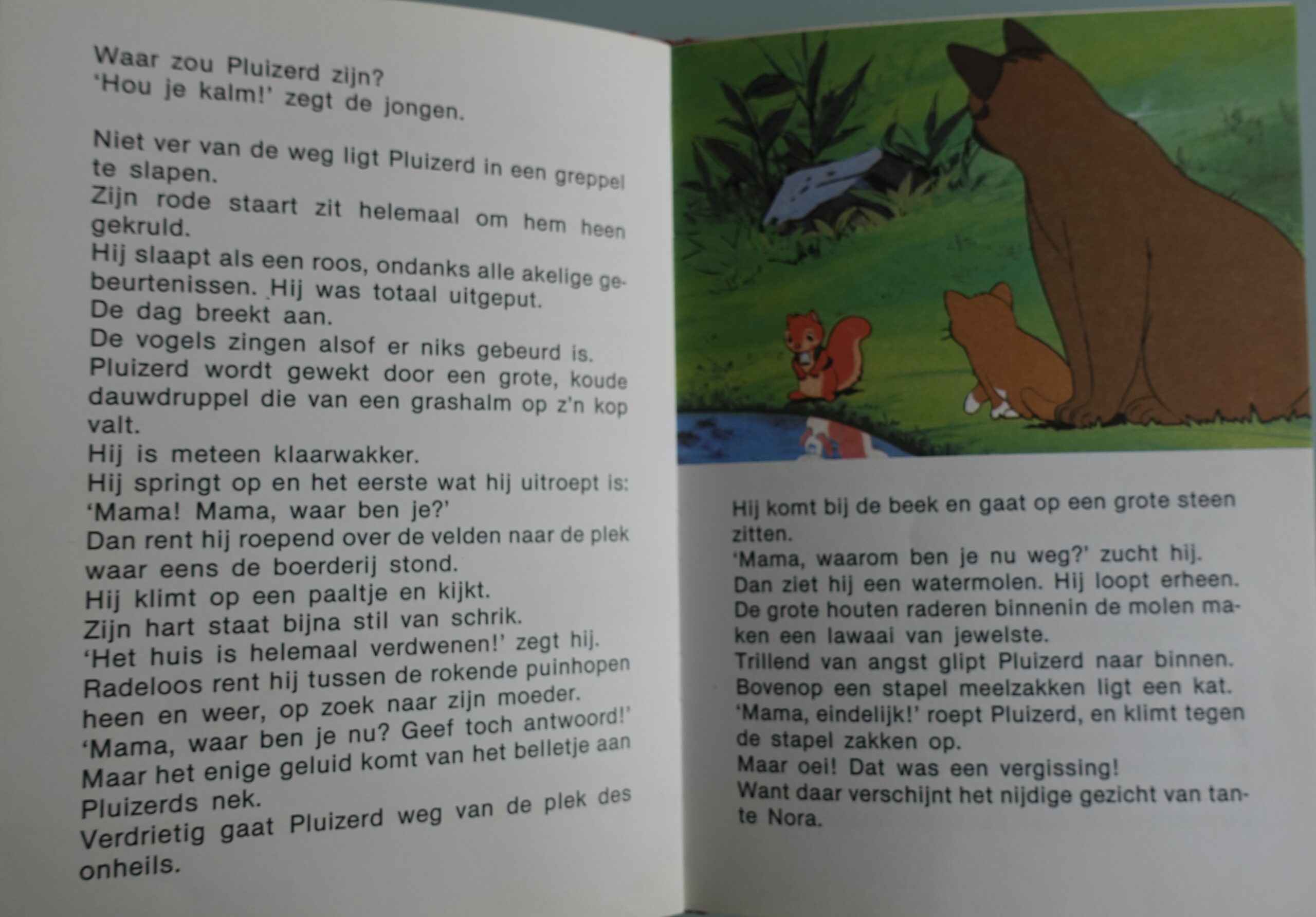Leuke avonturen van Pluizerd - Afbeelding 4