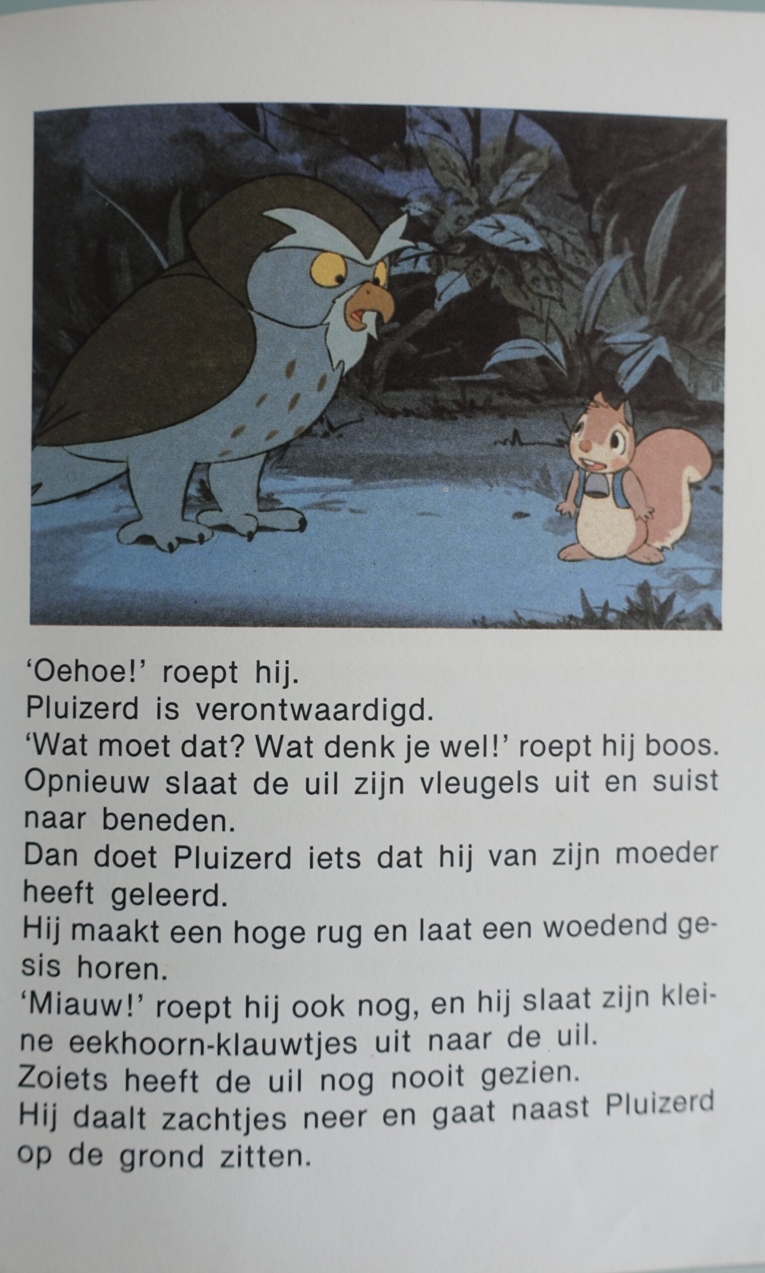 Leuke avonturen van Pluizerd - Afbeelding 6